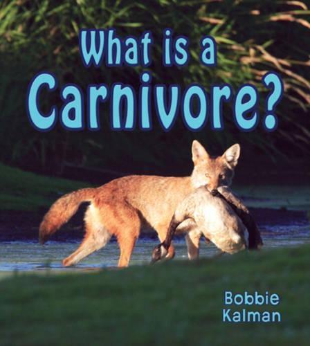 What is a Carnivore?