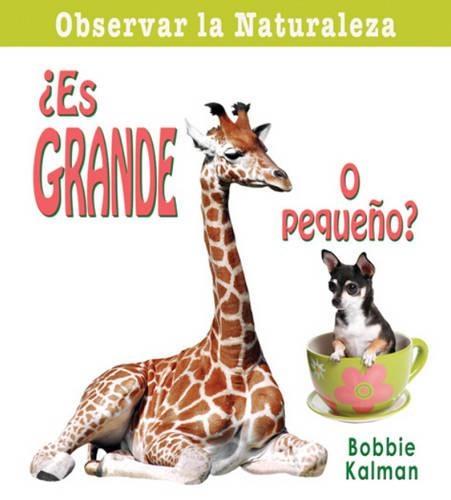 Es Grande O Pequeno?