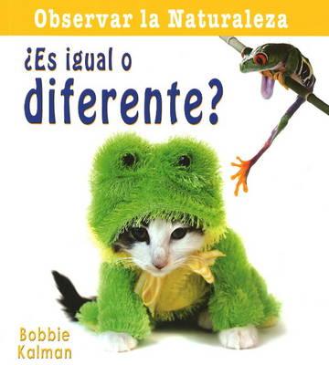 Es Igual O Diferente?