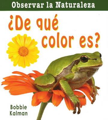 De Que Color Es?