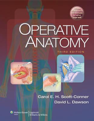 Operative Anatomy