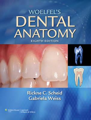 Woelfel's Dental Anatomy: It's Relevance to Dentistry