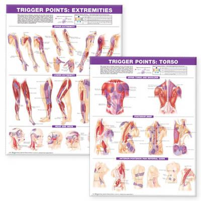 Trigger Point Chart Set: Torso and Extremities