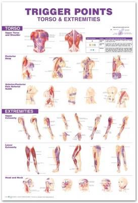 Trigger Points Giant Chart