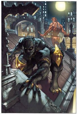 Black Panther: The Man Without Fear Volume 1: Urban Jungle