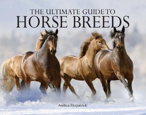 Ultimate Guide to Horse Breeds