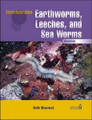 Annelids: Earthworms, Leeches, and Sea Worms