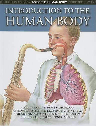 Introduction to the Human Body