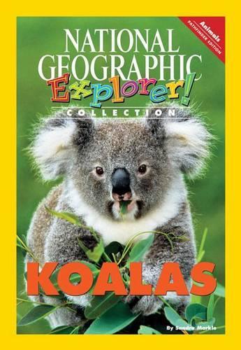 Explorer Books (Pathfinder Science: Animals): Koalas