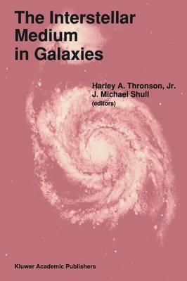 The Interstellar Medium in Galaxies