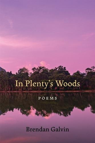 In Plenty's Woods: Poems