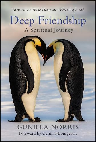Deep Friendship: A Spiritual Journey