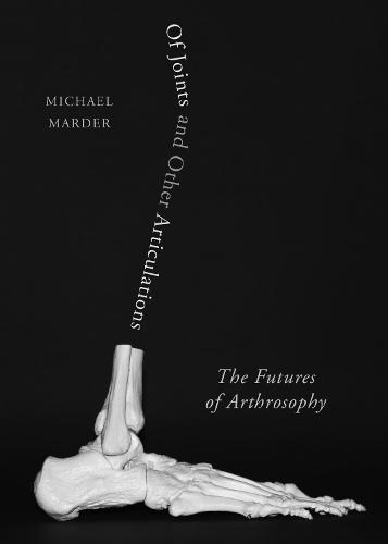 Of Joints and Other Articulations: The Futures of Arthrosophy