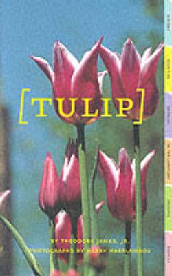 Tulip