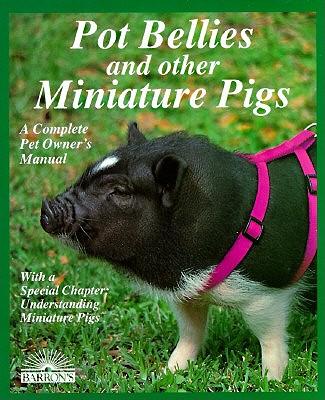Pot Bellies and Miniature Pigs