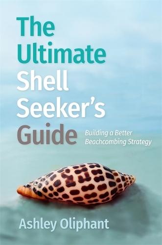The Ultimate Shell Seeker’s Guide: Building a Better Beachcombing Strategy