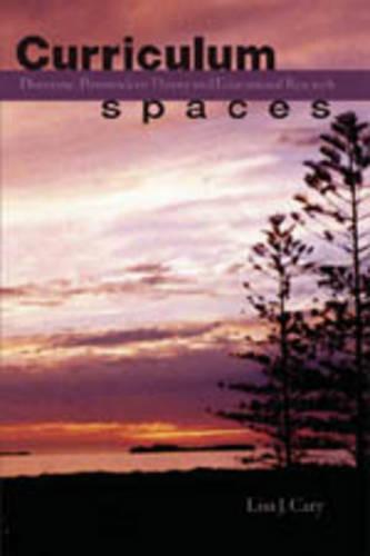 Curriculum Spaces: Discourse, Postmodern Theory and Educational Research