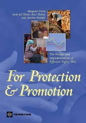 For Protection and Promotion: The Design and Implementation of Effective Safety Nets