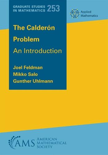 The Calderon Problem: An Introduction