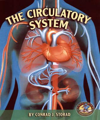The Circulatory System