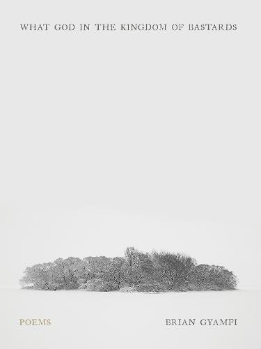 What God in the Kingdom of Bastards: Poems