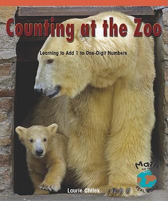 Counting at the Zoo: Learning to Add 1 to One-Digit Numbers