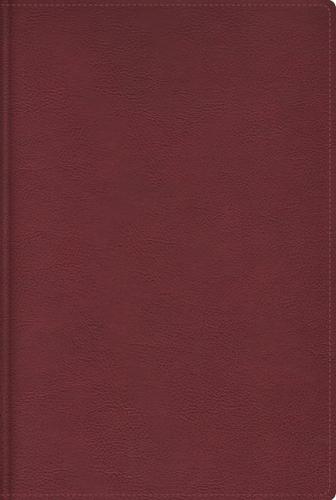 Rvr, Biblia de Estudio Trasfondo Cultural (El Contexto Lo Cambia Todo), Leathersoft, Rojo Vino, Interior a Color, Comfort Print: Explora El Mundo Antiguo de la Escritura