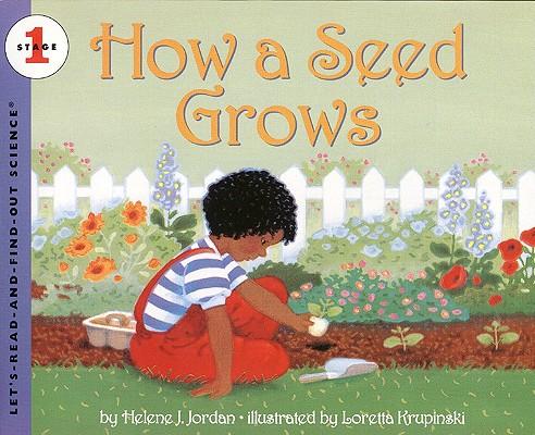 How a Seed Grows