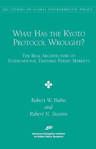 What Has the Kyoto Protocol Wrought?