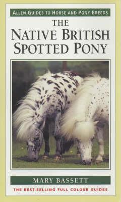The Native British Spotted Pony