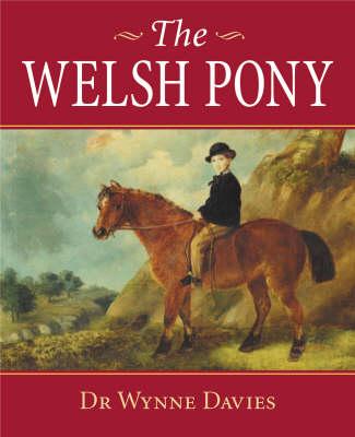 The Welsh Pony