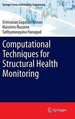 Computational Techniques for Structural Health Monitoring