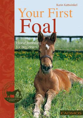 Your First Foal: Horse Breeding for Beginners