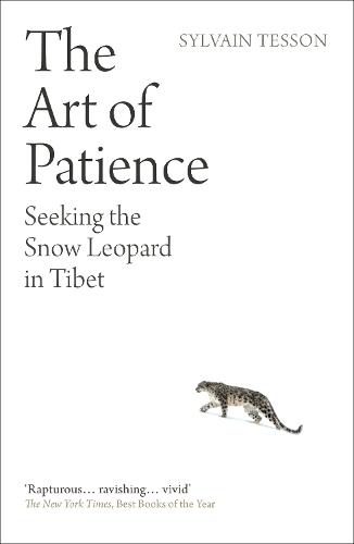 The Art of Patience: Seeking the Snow Leopard in Tibet