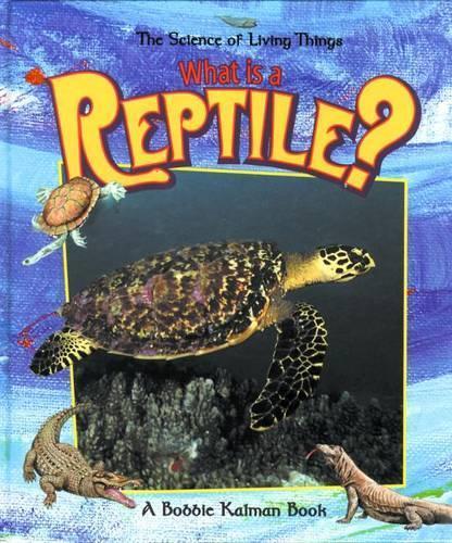 What is a Reptile?