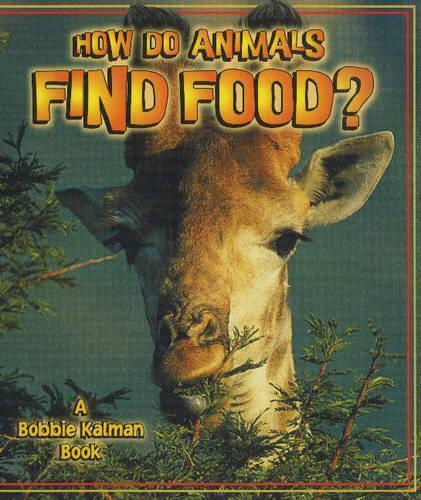 How Do Animals Find Food?
