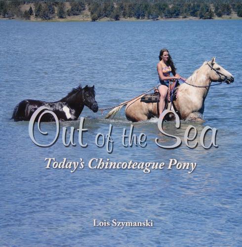 Out of the Sea, Today’s Chincoteague Pony