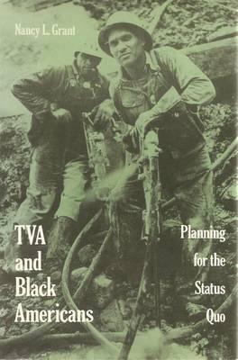 Tva And Black Americans