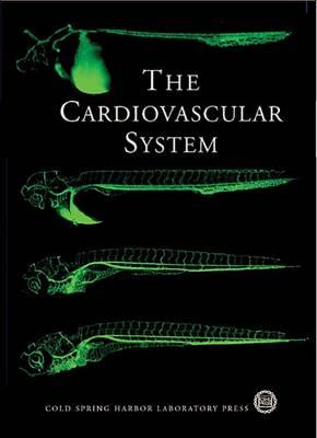 The Cardiovascular System