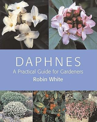 Daphnes