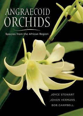 Angraecoid Orchids