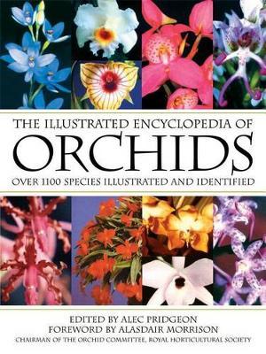 Illustrated Enc of Orchids