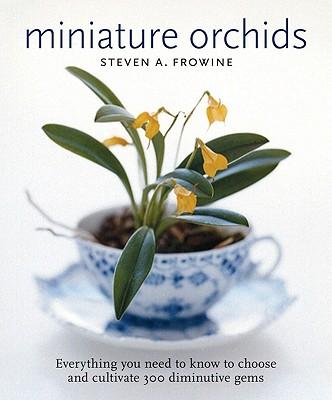Minature Orchids