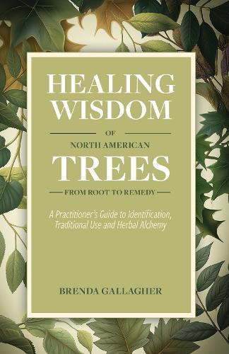 Healing Wisdom of North American Trees: A Practitioner’s Guide to Identification, Traditional Use & Herbal Alchemy