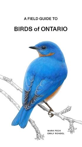 A Field Guide to Birds of Ontario