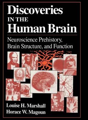 Discoveries in the Human Brain: Neuroscience Prehistory, Brain Structure, and Function