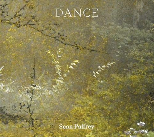 Sean Palfrey: Dance