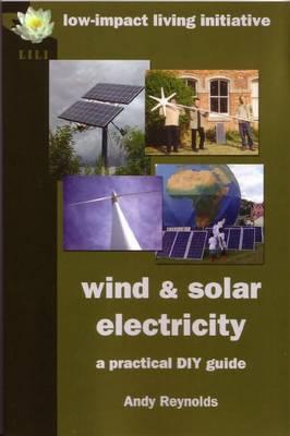 Wind & Solar Electricity: A Practical DIY Guide