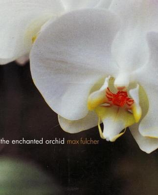 The Enchanted Orchid
