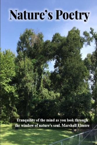 Nature's Poetry: Tranquility of the mind as you look through the window of nature's soul.